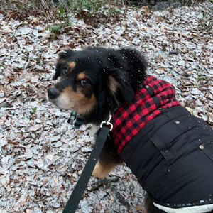 Meet your Posher, Annalise